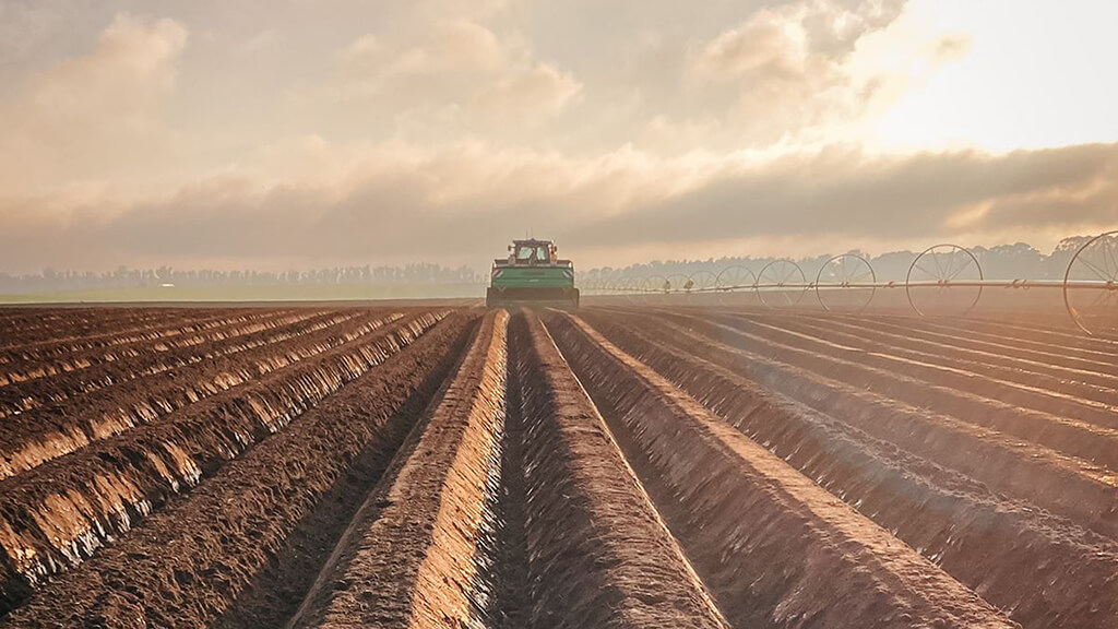 Rotación de cultivos para una tierra saludable