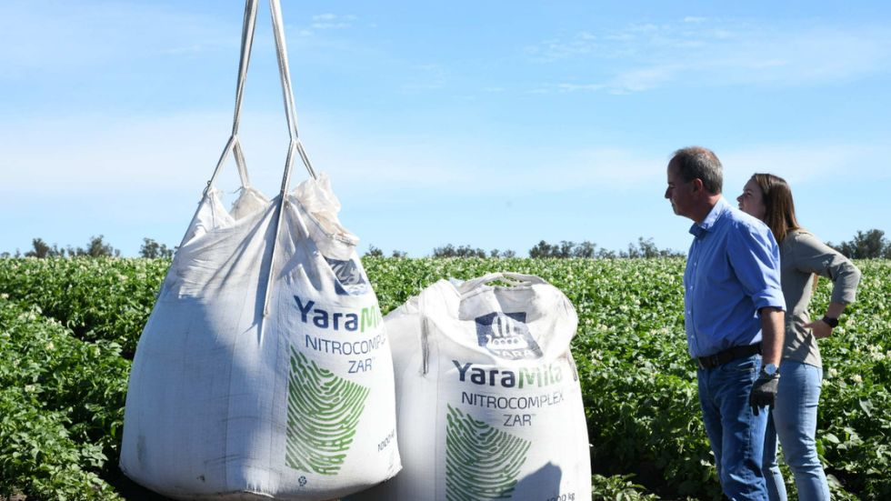 Convenio con Yara: el camino hacia una producción de papa de baja huella de carbono