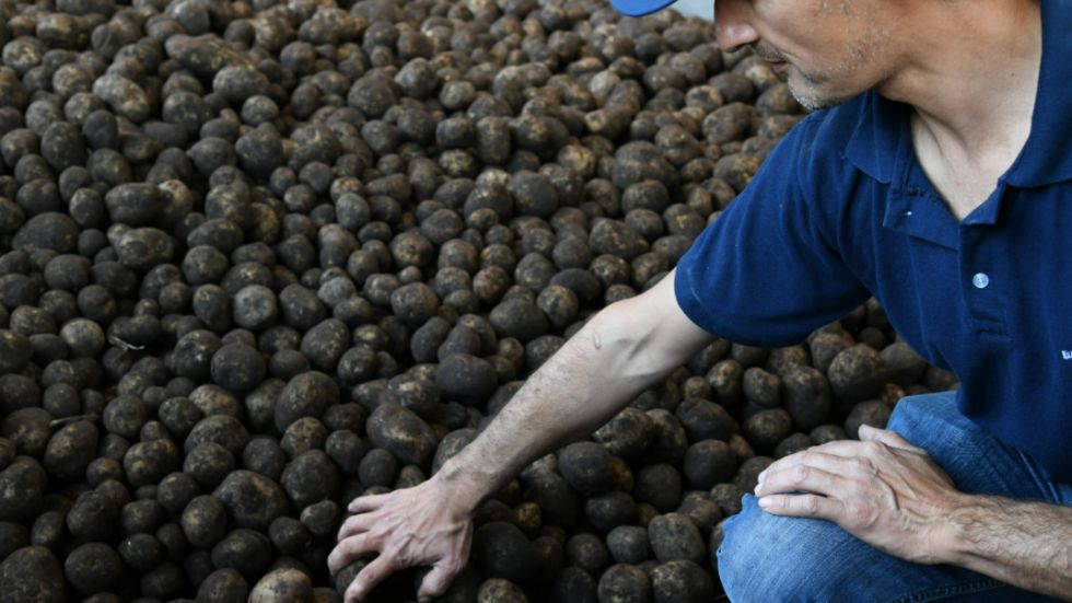Liderazgo en la producción papera nacional