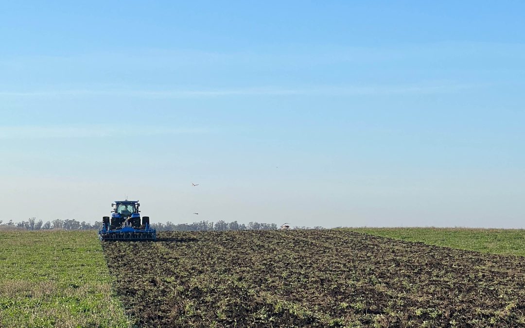 Conservación de suelos para una producción agrícola sostenible