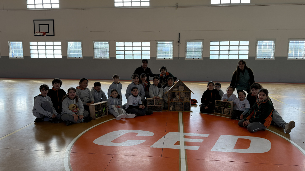 Alumnos de cuarto grado de primaria con sus hoteles de insectos.