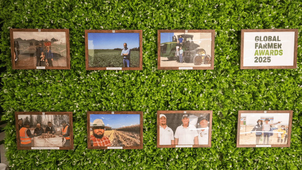 Una pared con un jardin vertical verde y cuadros de diferentes productores colgados.
