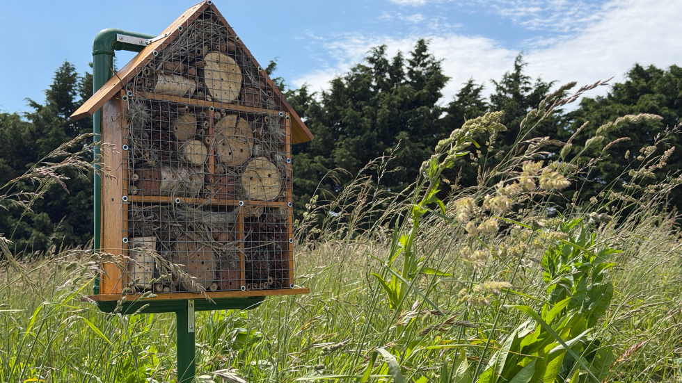 Estructura con forma de casa con distintos elementos en el interior, que se utilizada para atraer polinizadores.