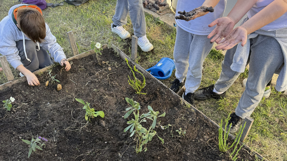 Niños trabajando en la huerta