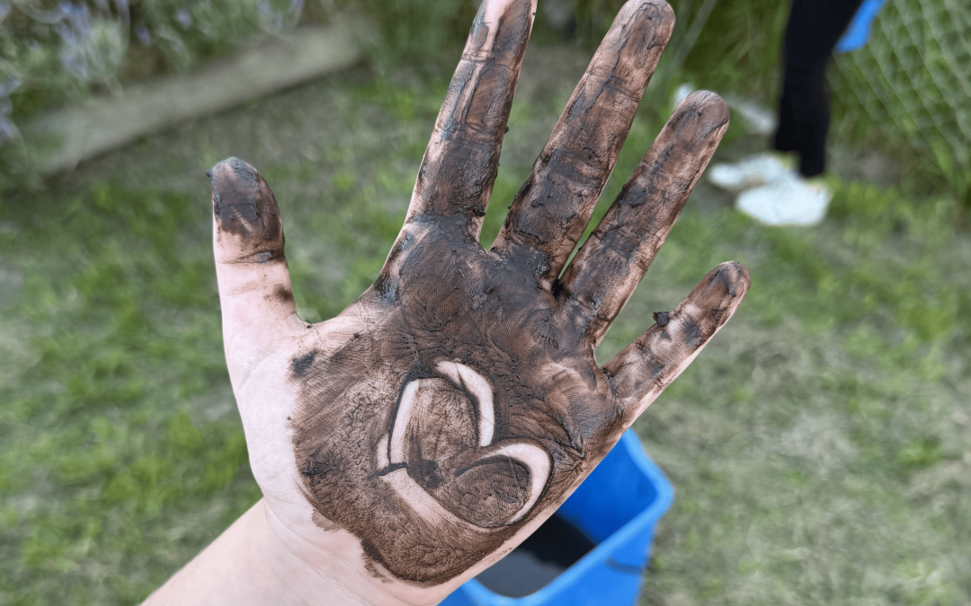 Biodiversidad y aprendizaje: acciones con impacto