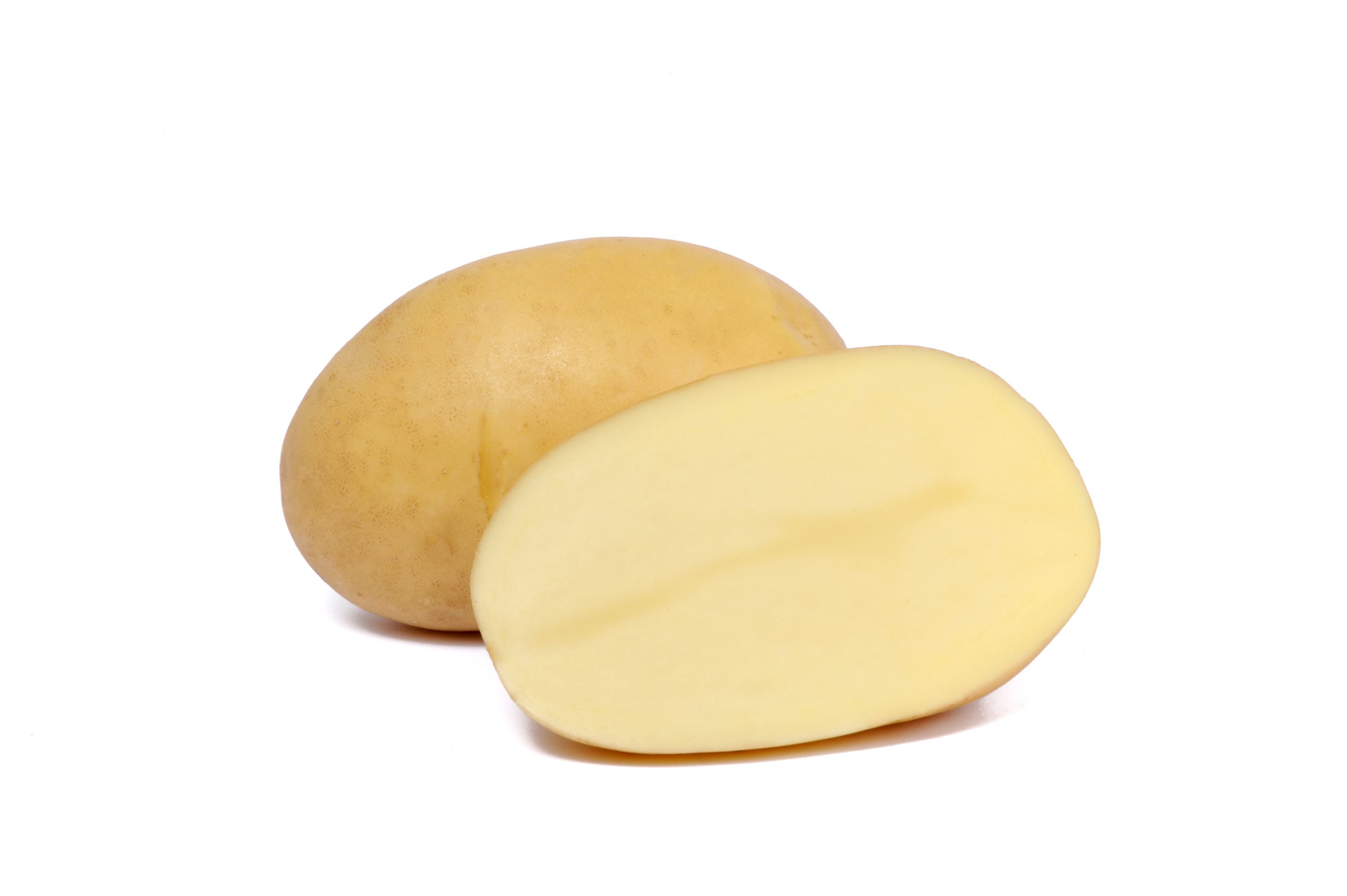 Papas variedad Virginia para industria