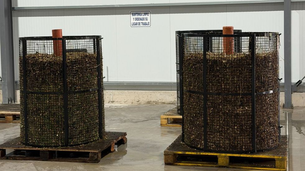 El compost que da origen al proceso biológico